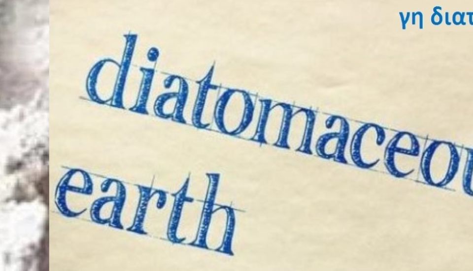 diatomaceous-earth-1148x515.jpg