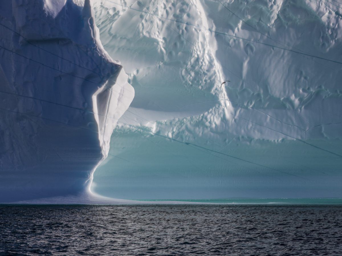 DIANE TUFT Amidst the Icebergs Disko Bay Greenland 9.20 PM 1 e1687852542406 7a945cf0
