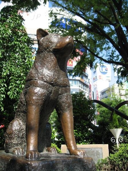 images easyblog articles 7469 b2ap3 large hachiko statue shibuya tokyo1