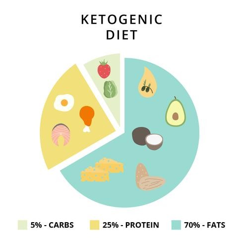 images easyblog articles 7591 b2ap3 large ketogenic diet vector illustrator
