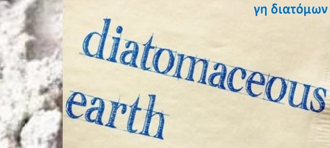 diatomaceous-earth-1148x515.jpg