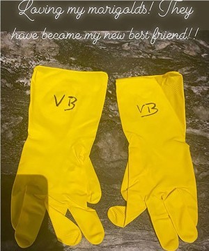 images easyblog articles 10059 b2ap3 large vb kitchen gloves t 1