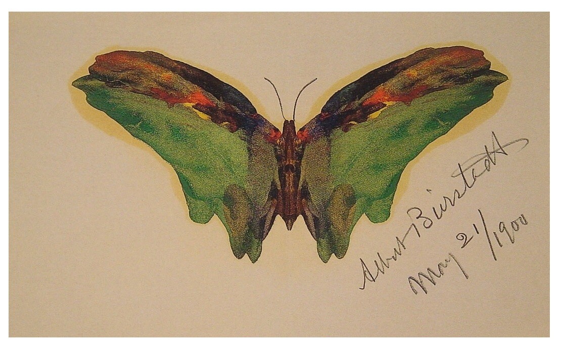 images easyblog articles 10405 b2ap3 large Albert Bierstadt Butterfly 1904