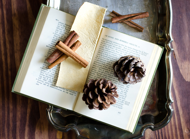 If curling up with a good book is a fall tradition of yours, double-down on the appeal by making a leather bookmark doctored with spicy essential oils. Get the tutorial at Sweet Roots » 