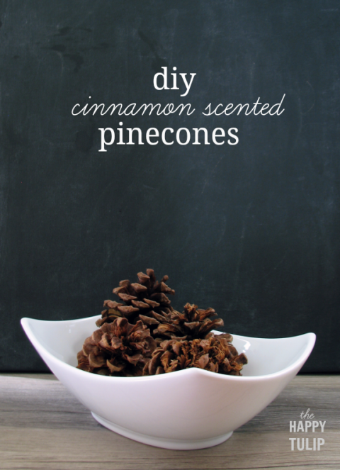 Pinecones easily fill a bare space on your bookcase in fall, but a little cinnamon essential oil is the surprise that keeps on giving all season long. Get the tutorial at The Happy Tulip » 