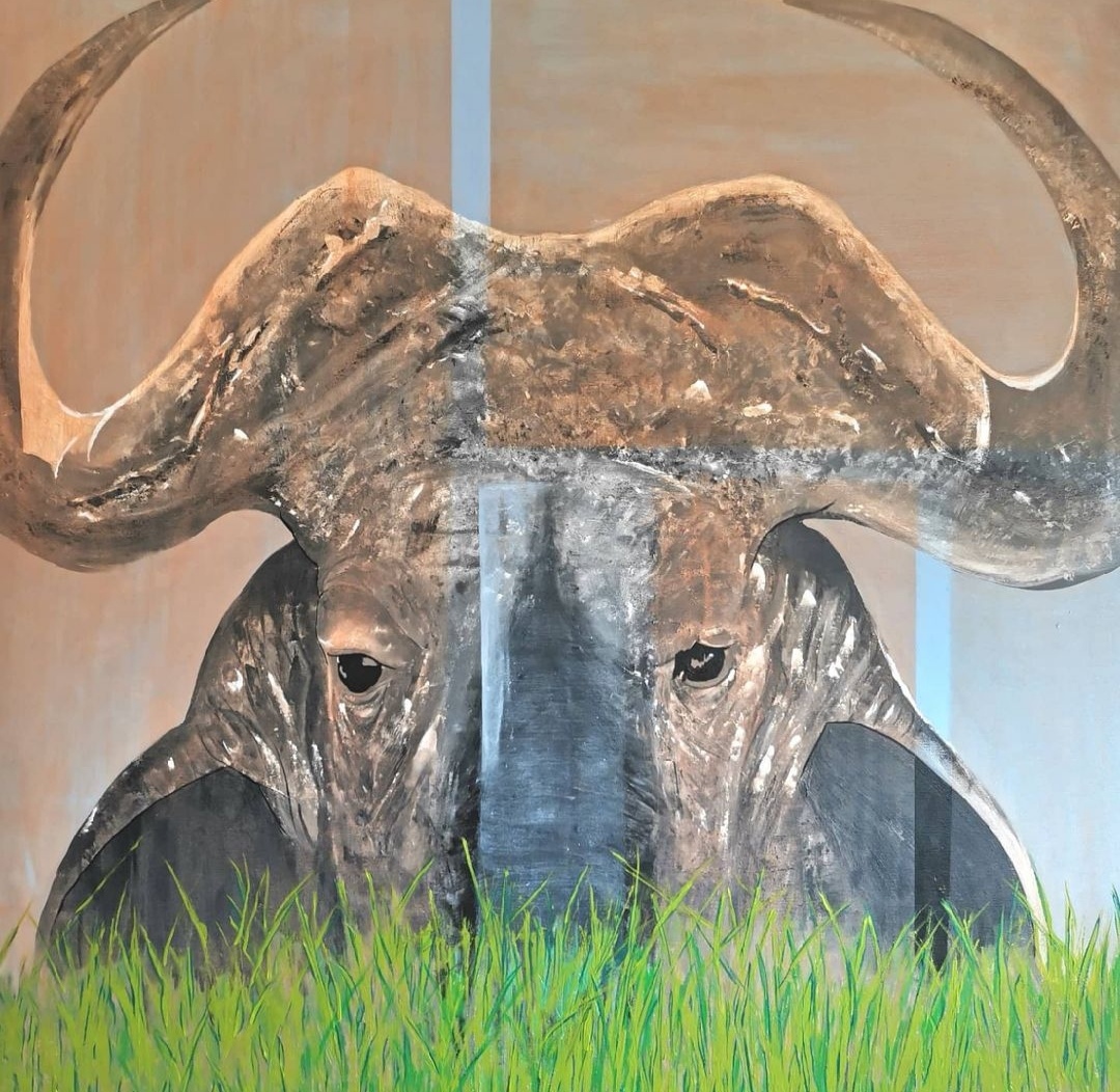 Martin Davis African or Cape Buffalo