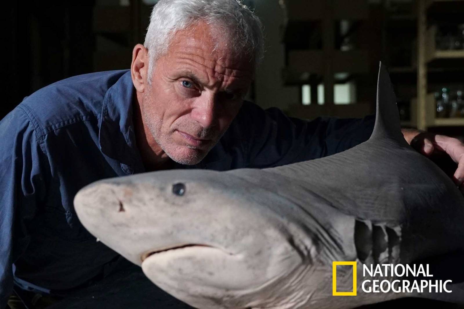 ng in deep with jeremy wade 2