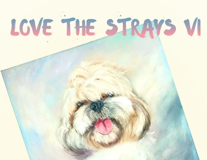 love the strays 6 7 may 2023 1 e1678105776991